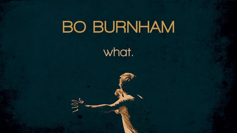 Bo Burnham: What.