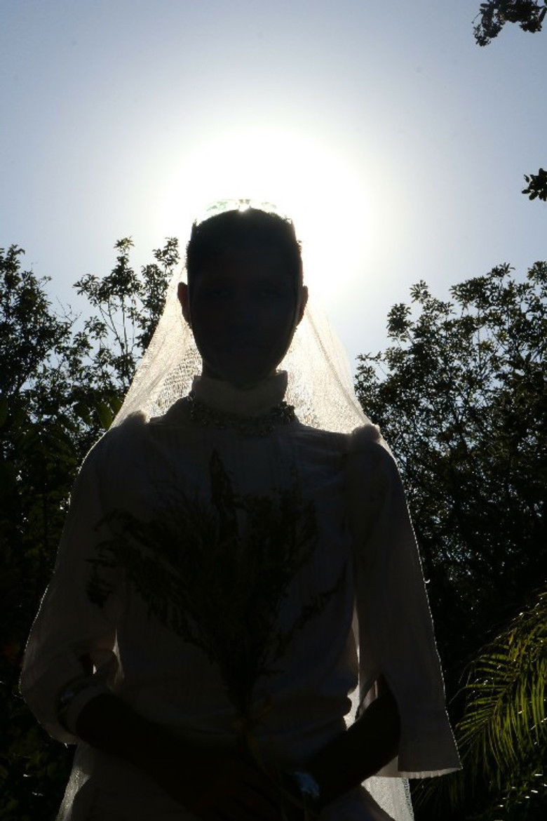 Imatge de No peito do tigre