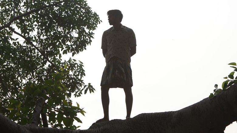 Bison Kaalamaadan
