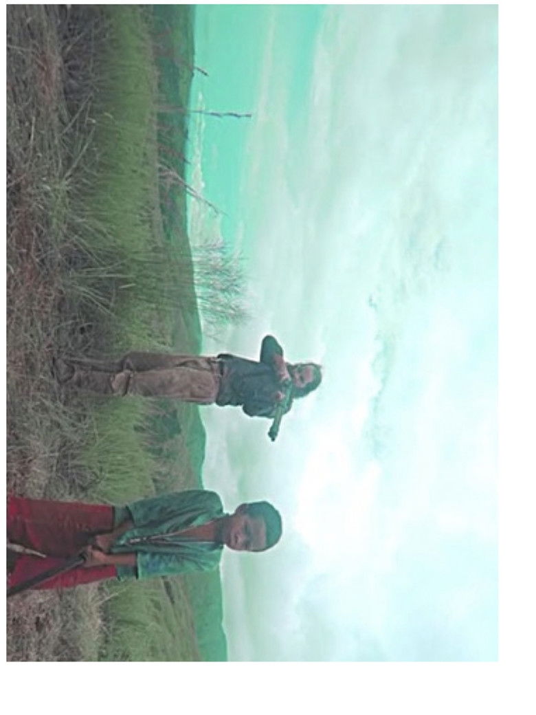 Imatge de Balangiga: Howling Wilderness