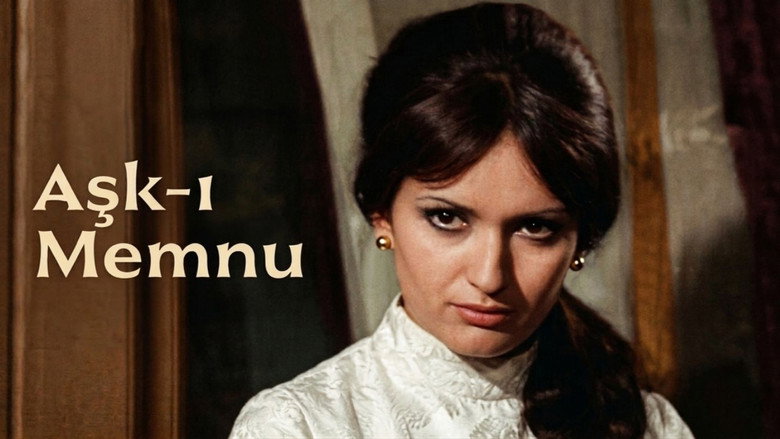 The Forbidden Love image 3