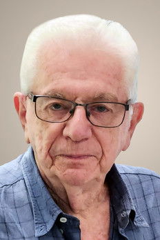 Simon Schwartzman portrait image