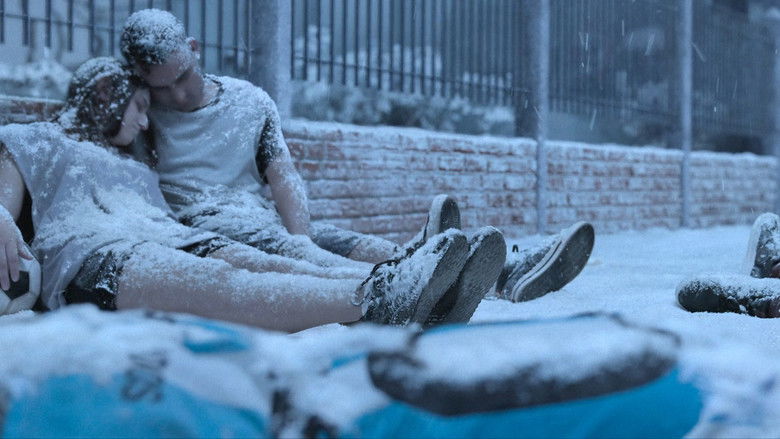 Vt1aoqgqi8gnyrzrapwqsu12nut