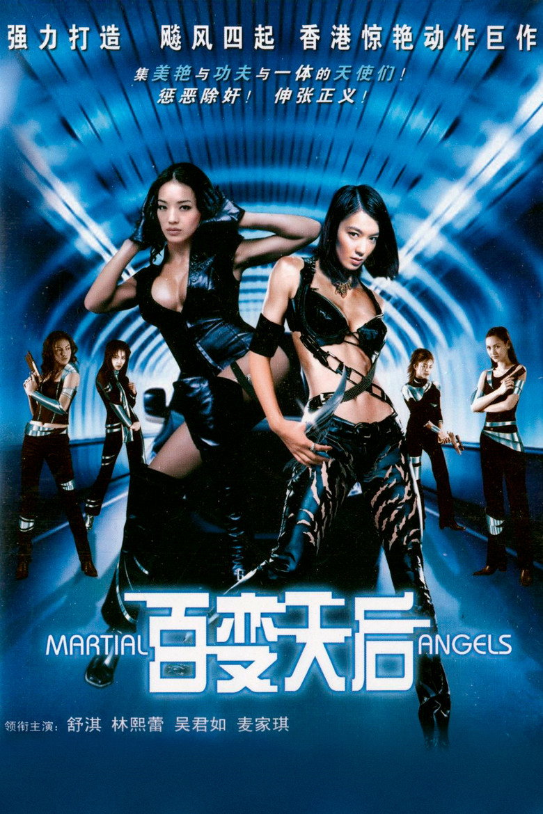 绝色神偷 封面海报