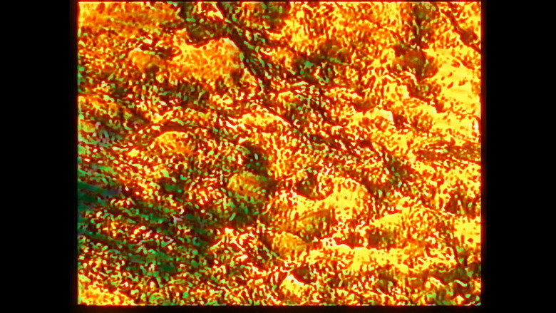 Frame from The end of the beginning of the end