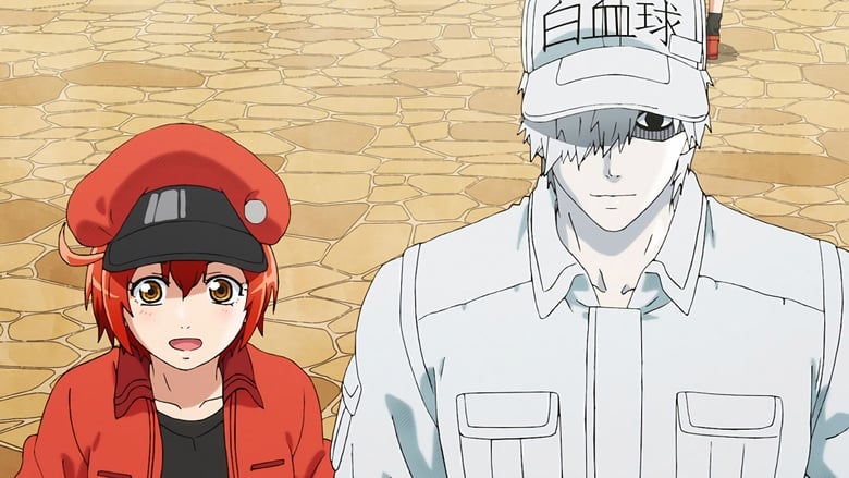 Assistir Hataraku Saibou Todos os Episódios Online - Animes BR