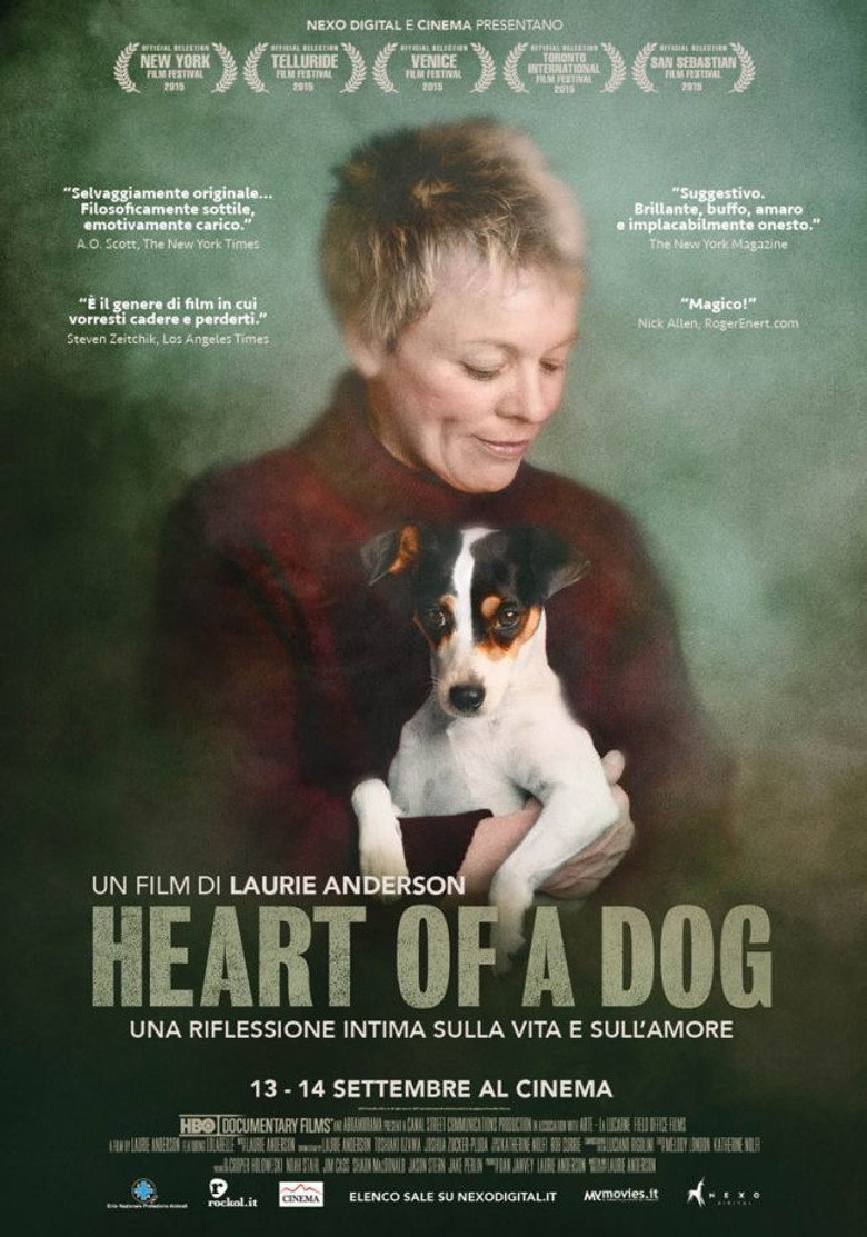 Cuore di un cane