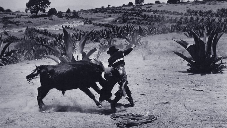 Gallery image from vUqIDryioEXq0QpBBidDQZFfkas.jpg