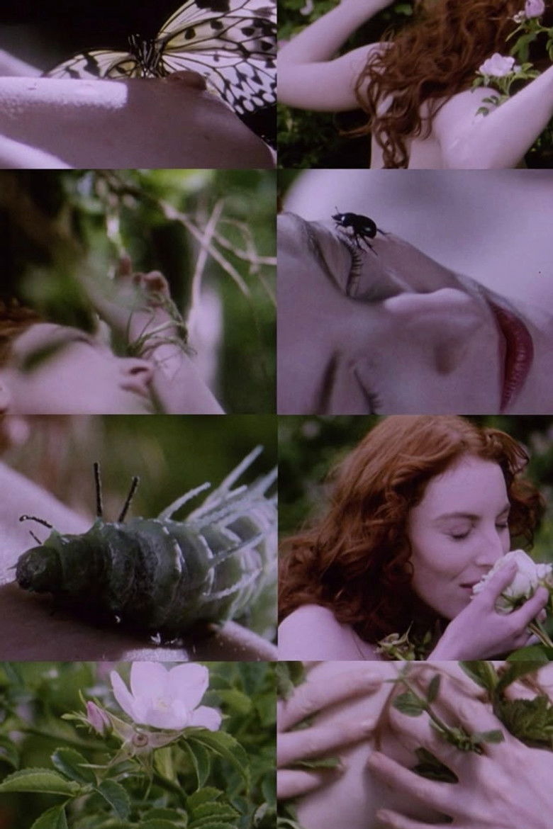 Imatge de Belle de Nature