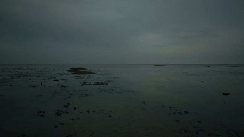 Imatge de Meta Incognita: Missive II