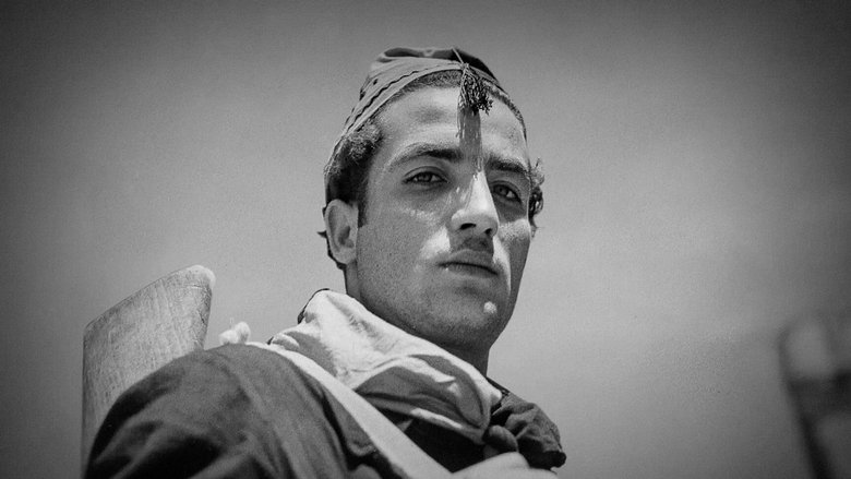 Gallery image from vWNeXi2jKKAxrFVEkaHwJ7ySgHX.jpg