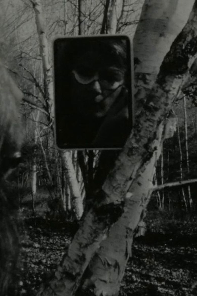 Imatge de Transformations