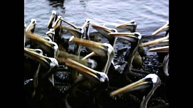 Gallery image from vXIJ2h7OflXhYeV0kqCbZUmTOJB.jpg