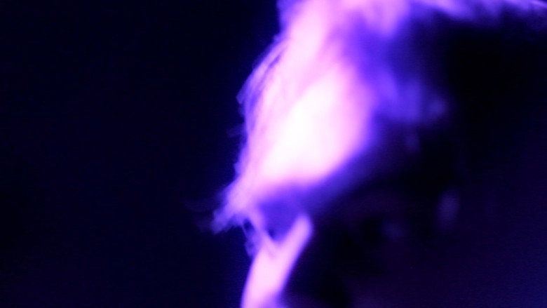 アウト画像 Autogazō Screenshot 4
