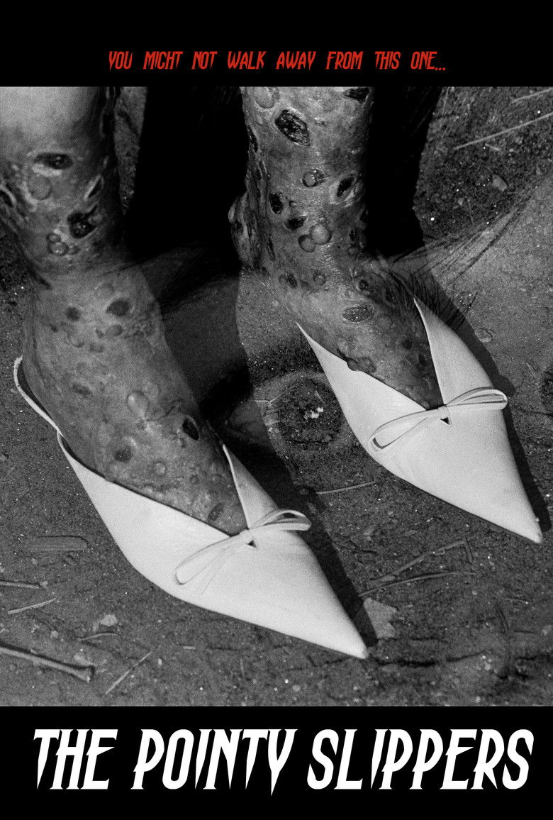 Imatge de The Pointy Slippers