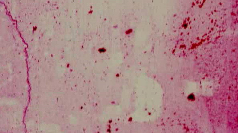 The Red Thread: sahne