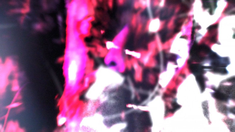 Gallery image 8