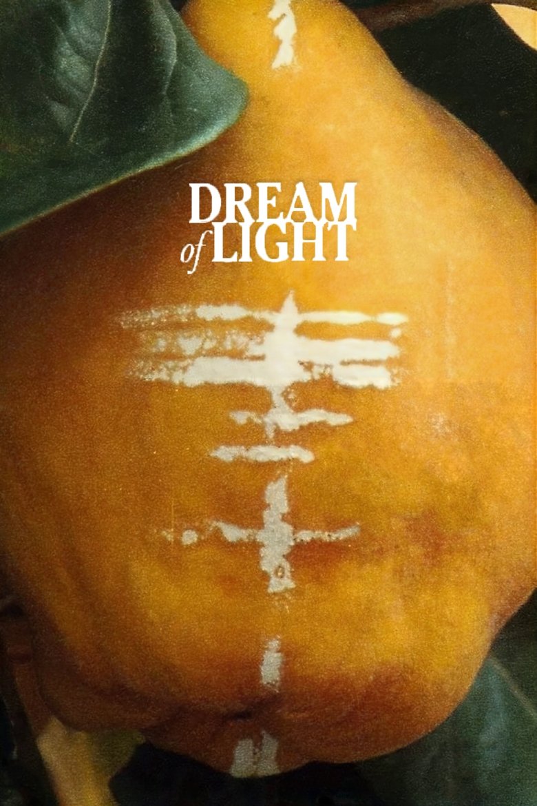 Dream of Light main poster