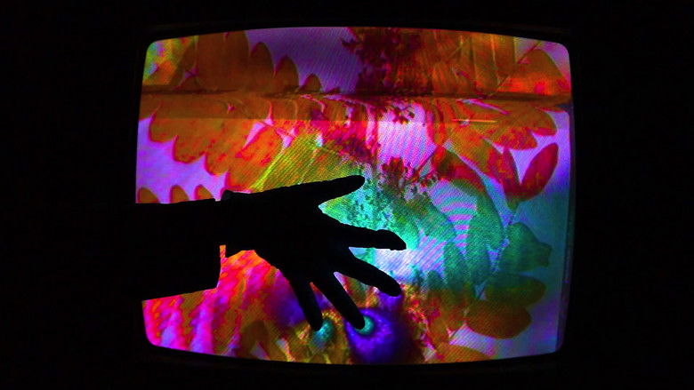 Gallery image from vZm6cohrbwEO1gJMzNvCLQlaMFx.jpg