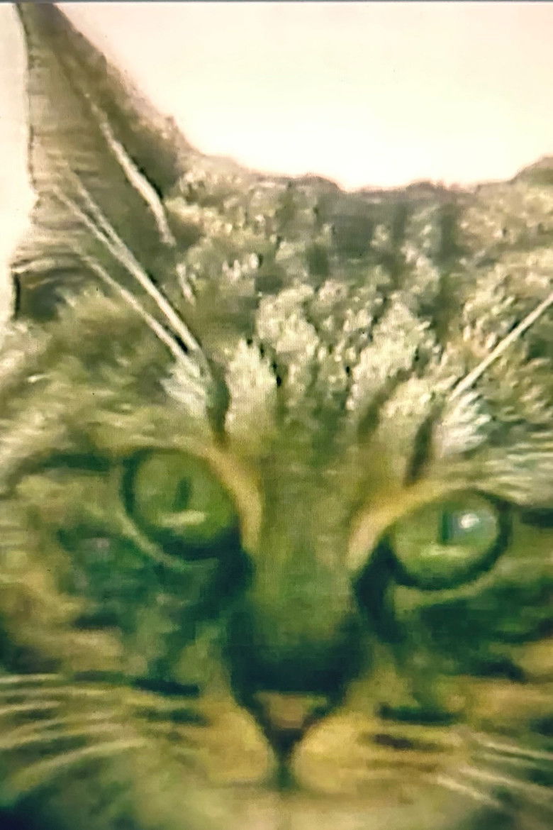 Imatge de 父が、燃えた