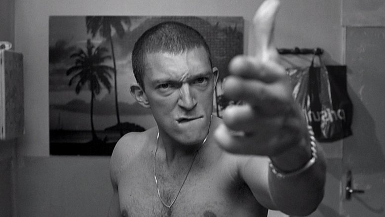 streaming la haine subtitles english