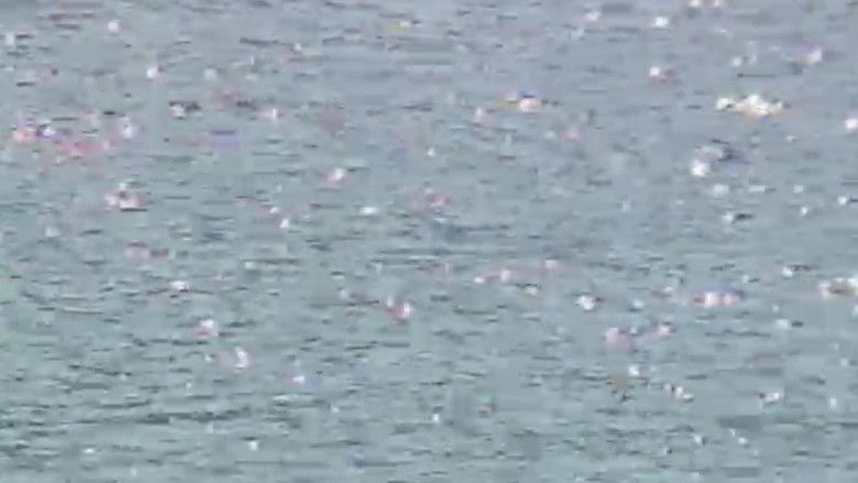 Image d'arrière-plan 5 du film 渡辺玖未＆木下絵里花 恐怖の館 マタンゴ・コレクター