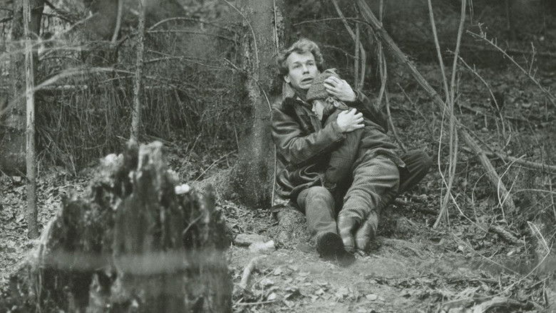 Image d'arrière-plan 2 du film Shadow on the Snow