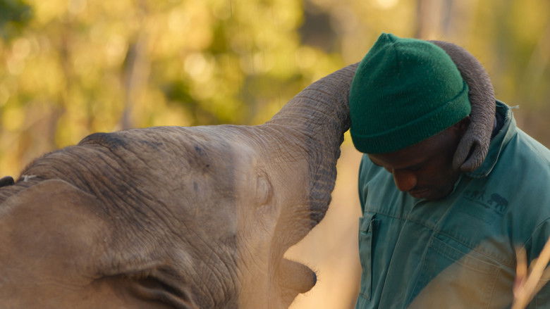 Still image for Born to Be Wild season 1 episode 2: The Elephant Calf Still image for Born to Be Wild season 1 episode 2: The Elephant Calf