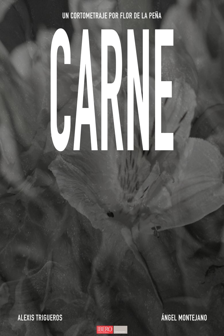 CARNE main poster