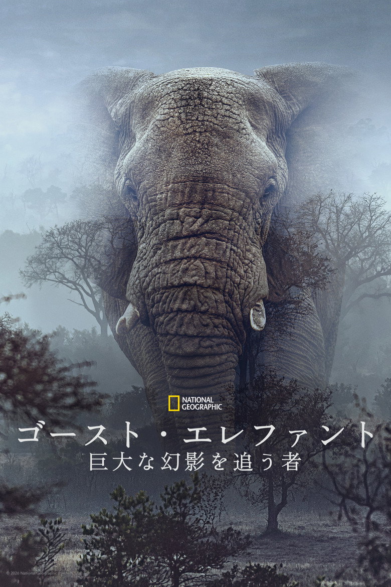 Ghost Elephantsのポスター