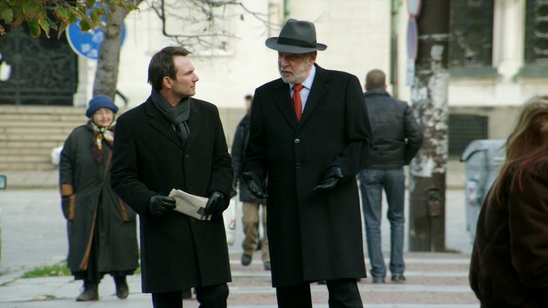 Assassin's Bullet (2012)