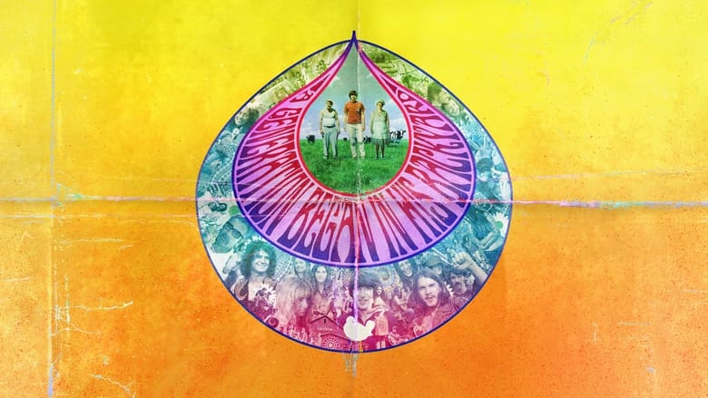 Taking Woodstock - Der Beginn einer Legende (2009)