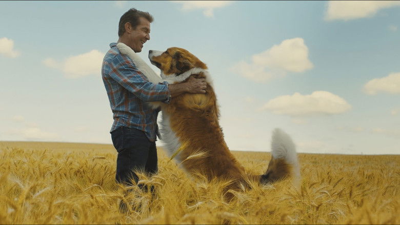 Imatge de A Dog's Journey