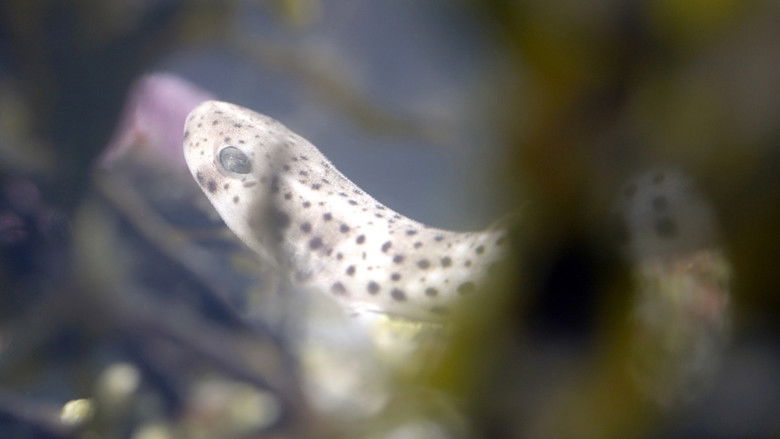 Gallery image from vdalavw8Z3t19hh6cQAUNhmxmKr.jpg