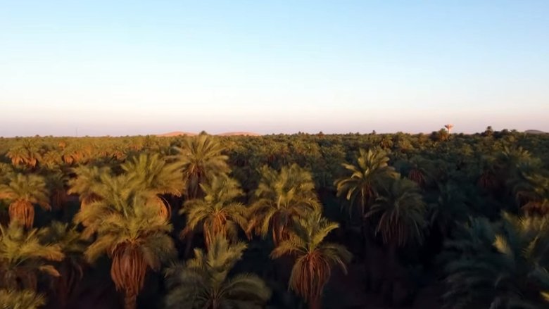 Twïza, L'Aventure Algérienne (2019)