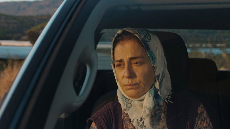 Imatge de Annemin Solgun Çiçekleri