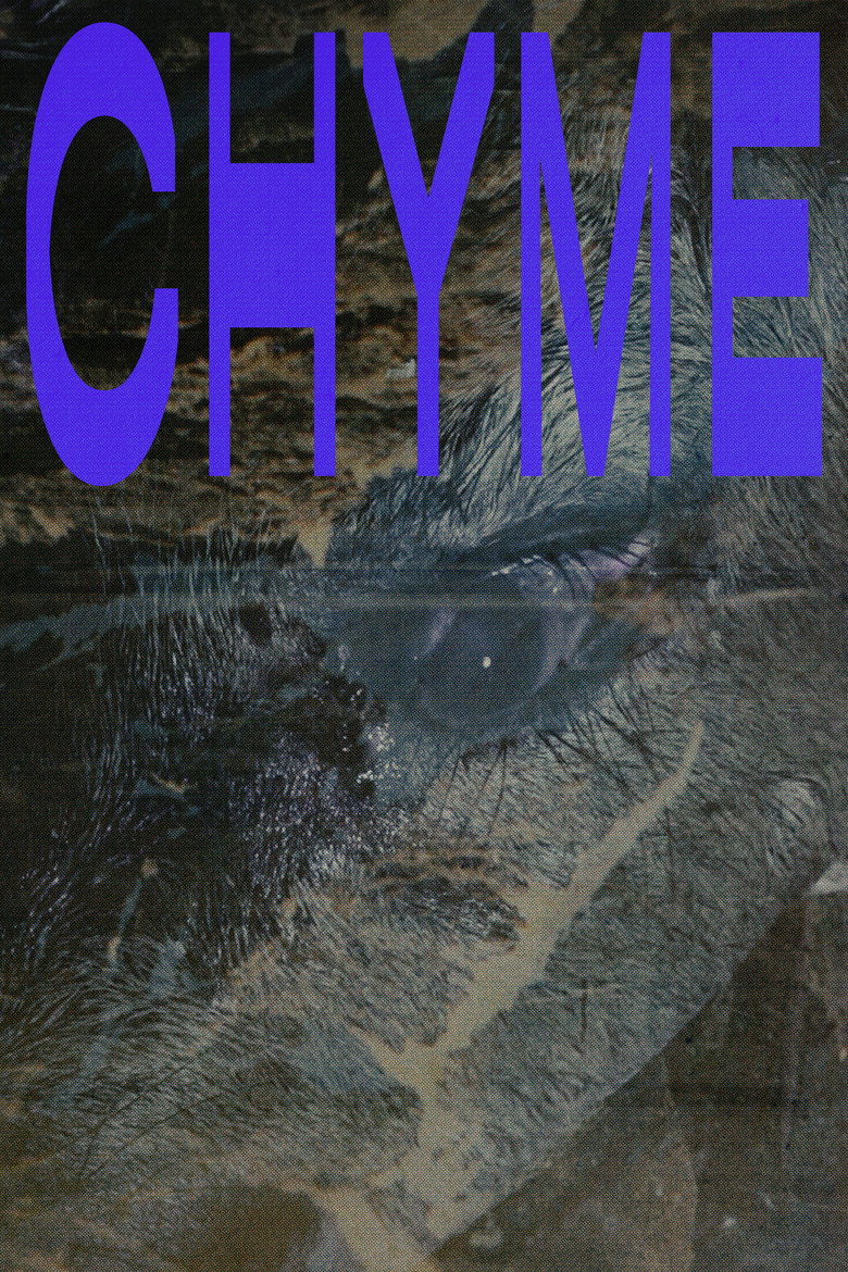 Imatge de Chyme