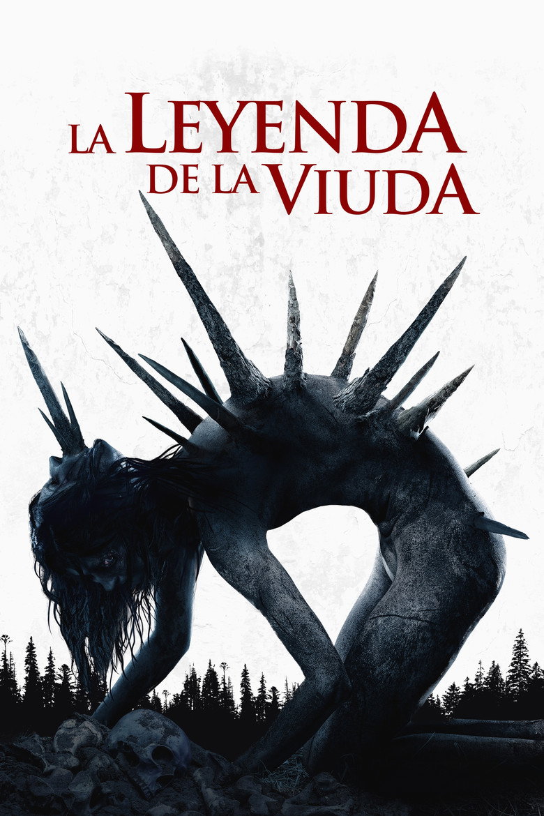 Póster la Película