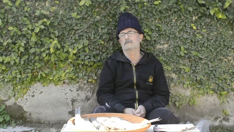 Imatge de ماهی گریه می کند