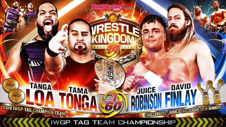 Image d'arrière-plan 7 du film NJPW Wrestle Kingdom 14: Night 1