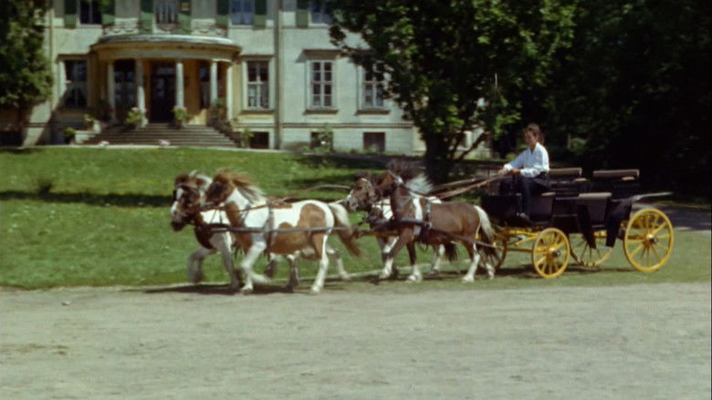 Backdrop de Immenhof Filmreihe