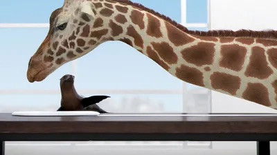 Still image for Athleticus season 1 episode 27: Episode 27