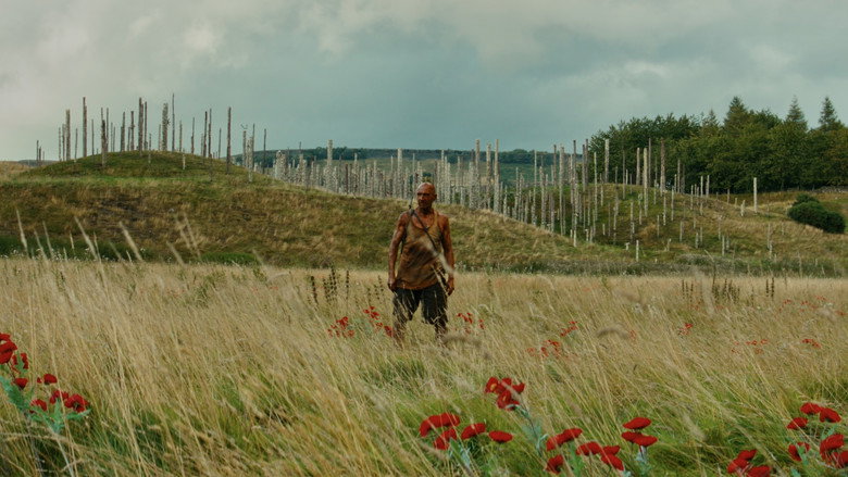 Film backdrop