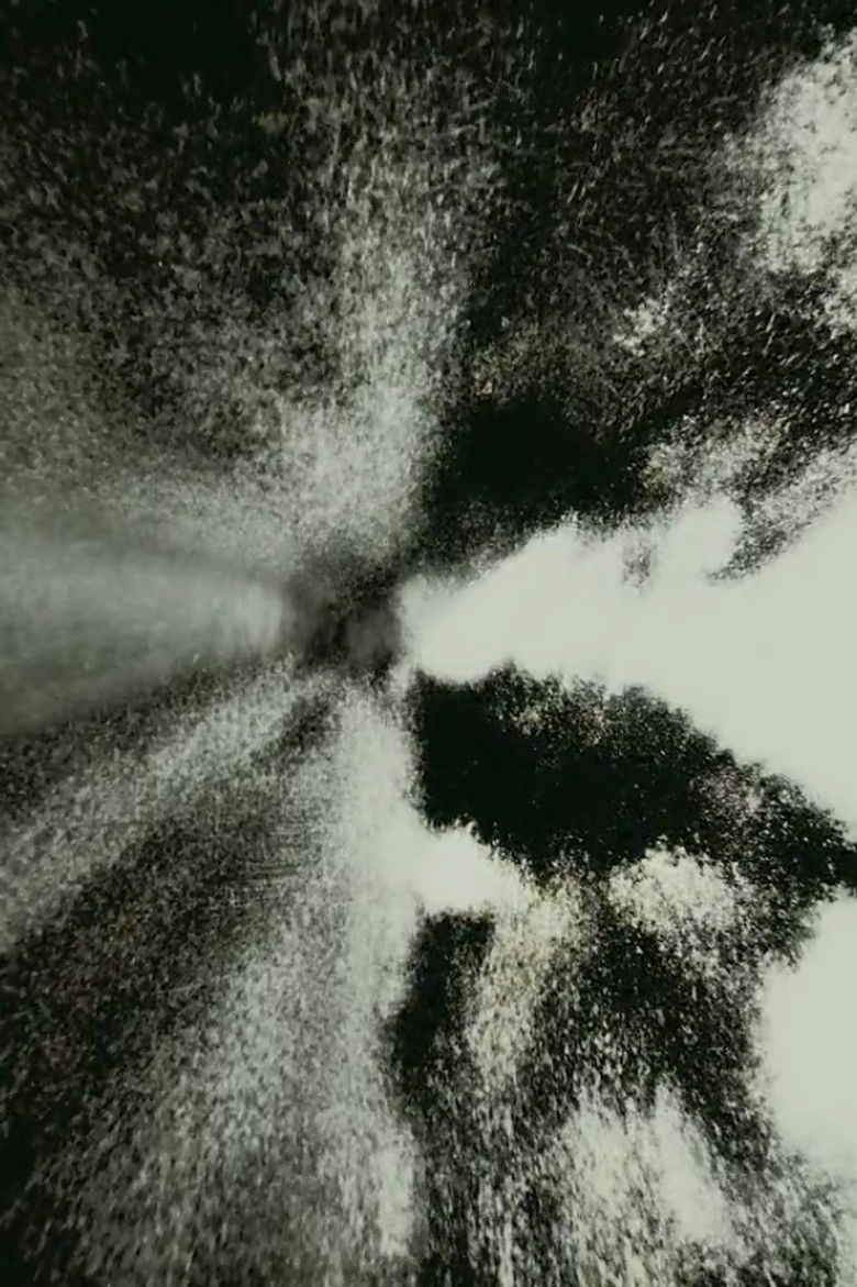 Imatge de Brouillard #19