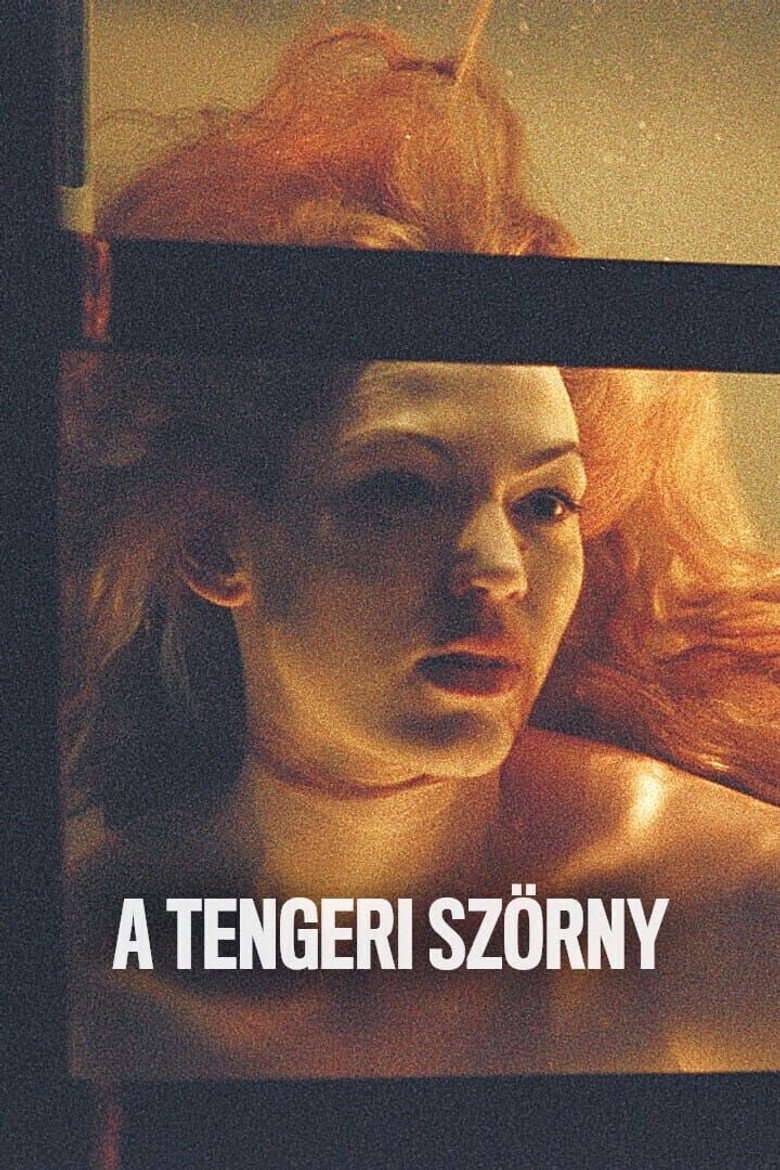 posters 6