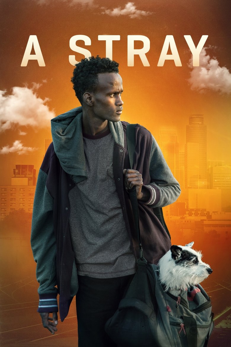 A Stray main poster