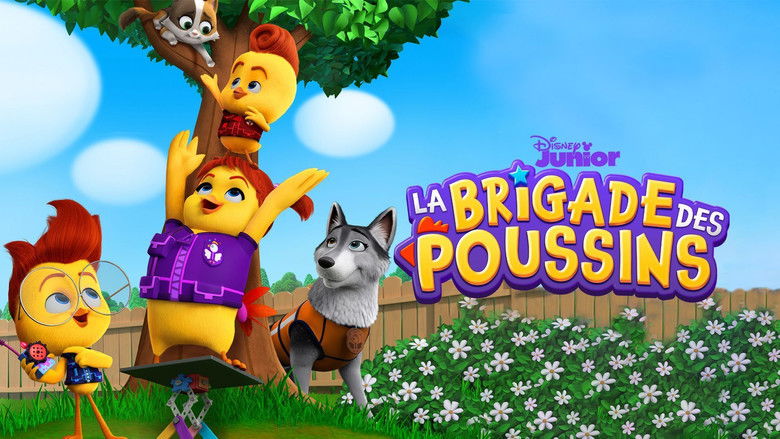 Gallery image from vguvDmaNjarB9HDPhjhnswTIAwt.jpg