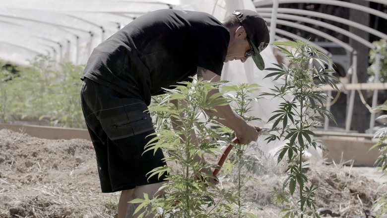 Still image for Murder Mountain season 1 episode 3: Frontier Justice