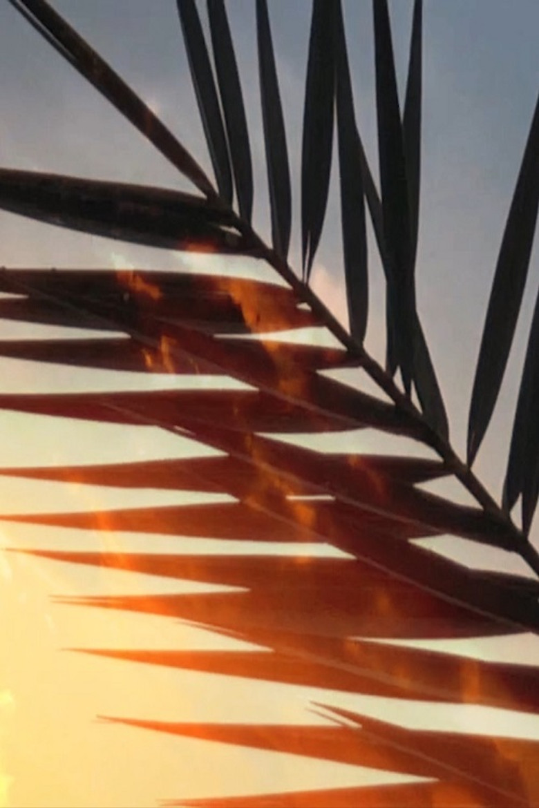 Palm background