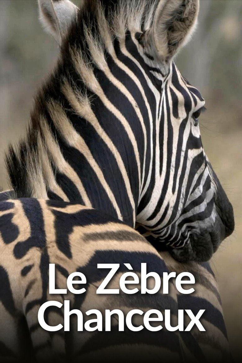 Le Zèbre chanceux main poster